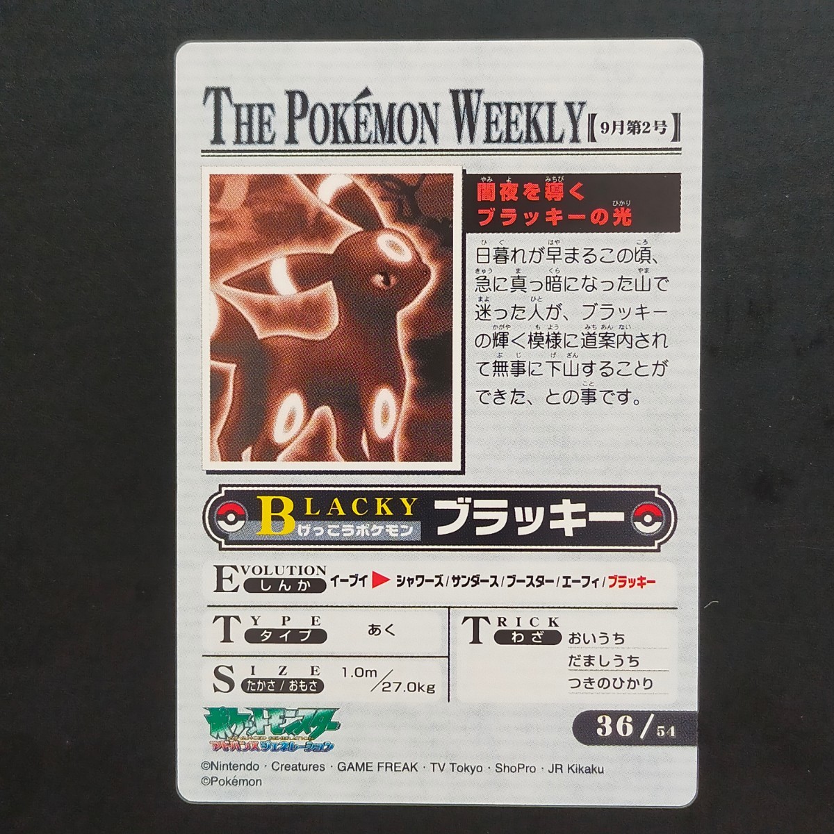 ブラッキー ポケモン ウィークリー WEEKLY カードダス アドバンスジェネレーション ずかん カード 「闇夜を導くブラッキーの光」_画像4