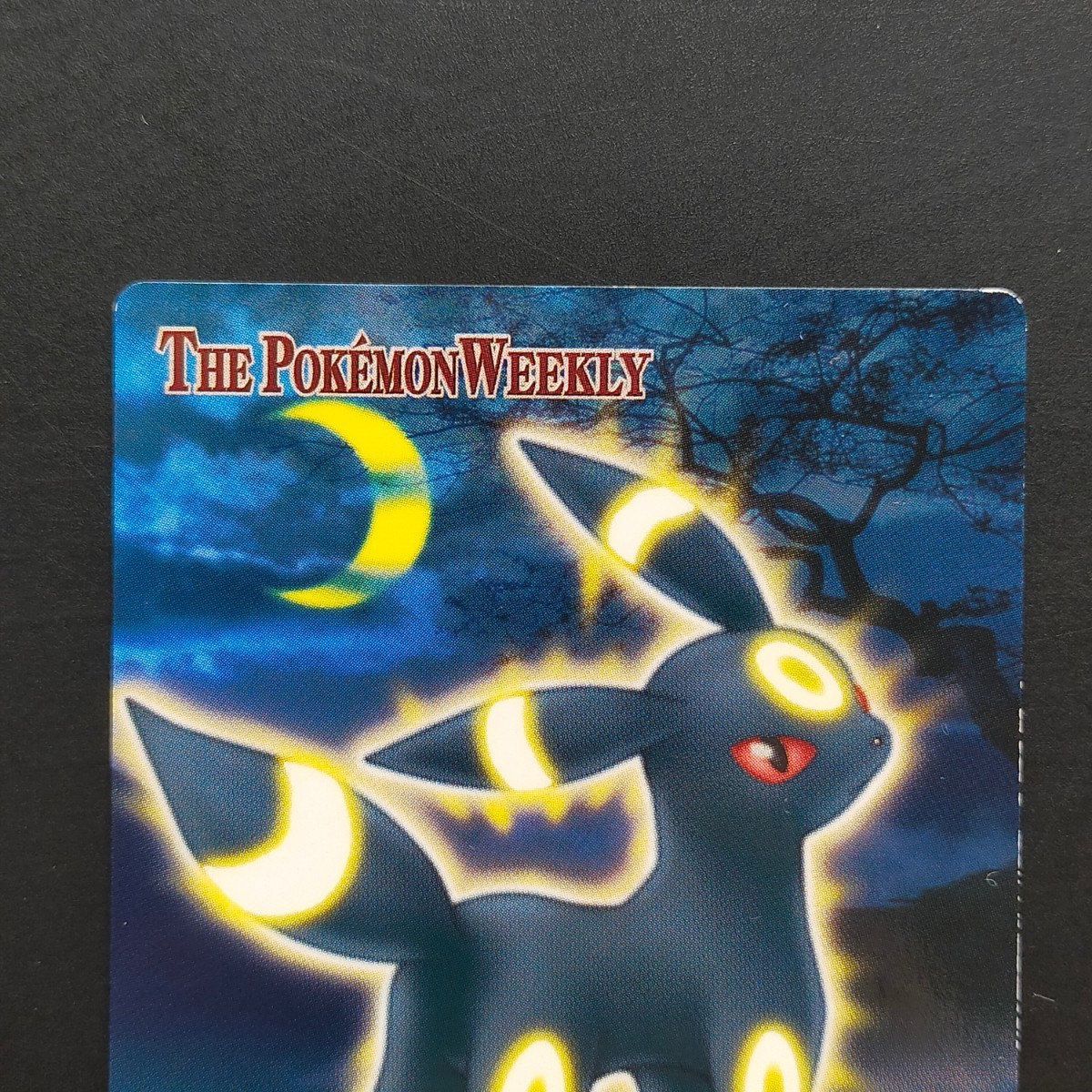 ブラッキー ポケモン ウィークリー WEEKLY カードダス アドバンスジェネレーション ずかん カード 「闇夜を導くブラッキーの光」_画像2