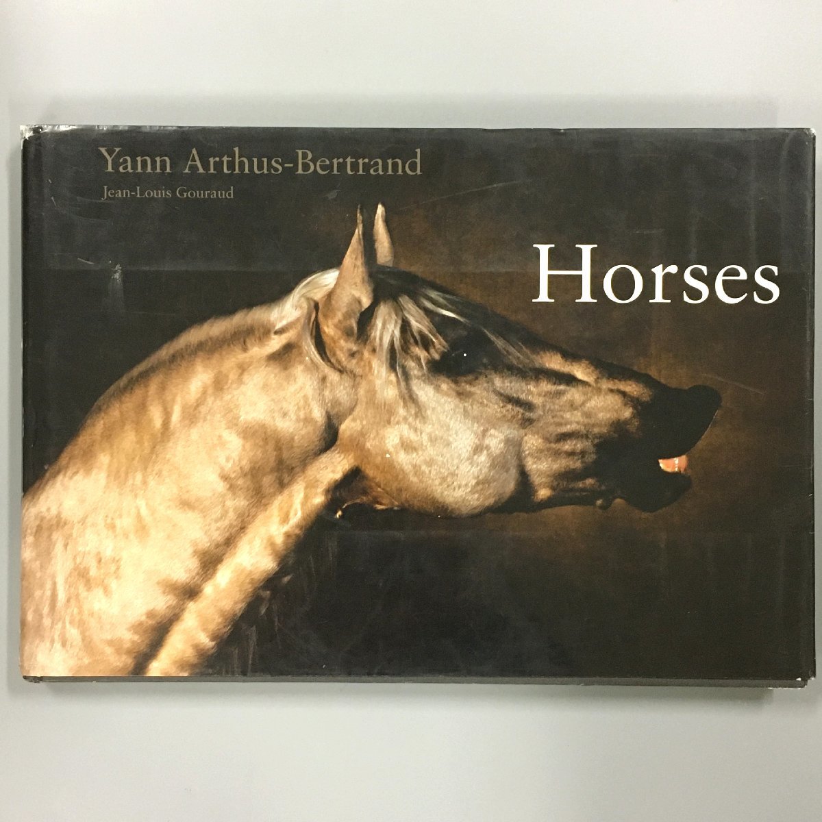 大型本『Horses』　ヤン・アルテュス＝ベルトラン Yann Arthus=Bertrand　洋書　作品集　馬の写真集　動物_画像1