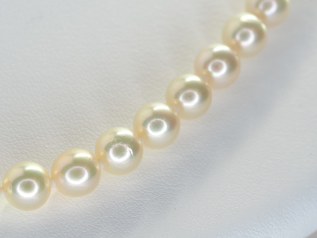 324 真珠祭り！天然アコヤ本真珠ネックレス ホワイト 7.5mm～8.0mm-