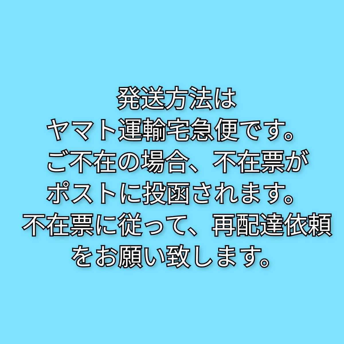 とらや　3本セット　竹皮包羊羹　化粧箱入　羊羹　ようかん　虎屋　夜の梅_画像5