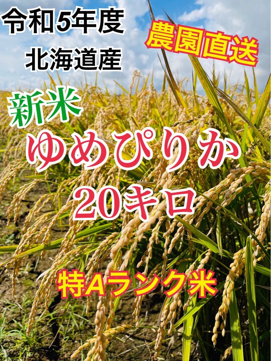 令和産 北海道米 ゆめぴりか キロ 農家直送 特Aランク ブランド米