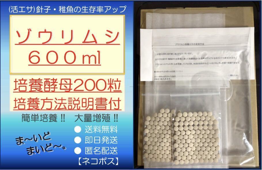 ●送料無料・匿名配送・即日発送● ゾウリムシ 600ml+ビール酵母 200粒　【めだか 針子・稚魚 金魚 シュリンプ 熱帯魚】活餌_画像1