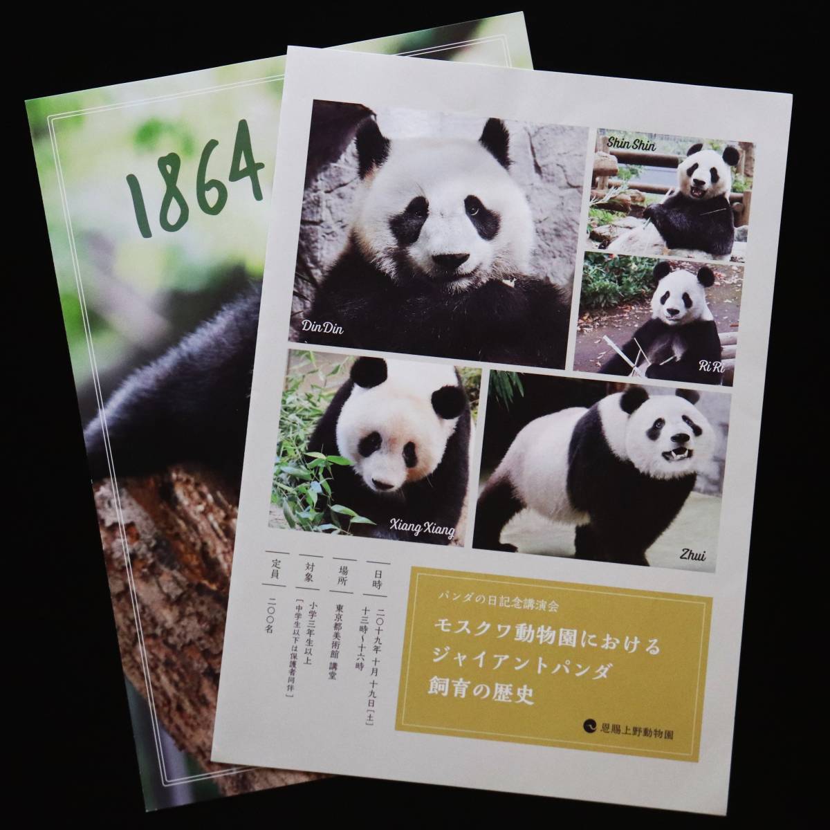■2019年 【非売品】 定員200名 パンダの日記念講演会 パンフレット 冊子 2枚 シャンシャン シンシン リーリー 上野動物園 モスクワ動物園