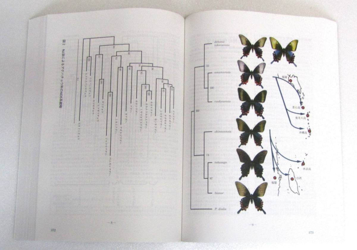 古本　学術書　おさむしニュースレター・蝶類DNA研究会ニュースレター　1995-2004 : 合本　送料無料（離島以外）_画像2