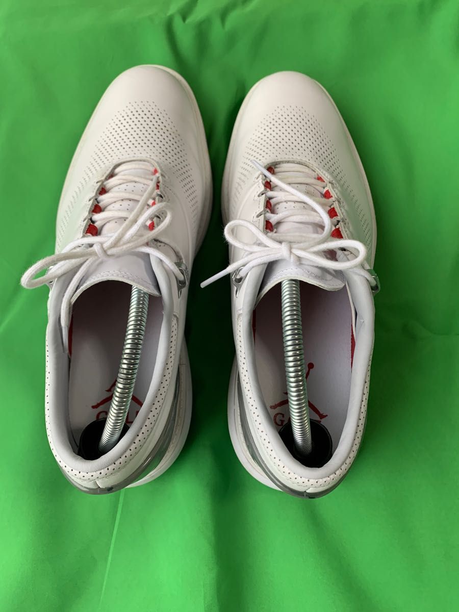 NIKE GOLF ナイキゴルフ DM ゴルフシューズ JORDAN ADG4