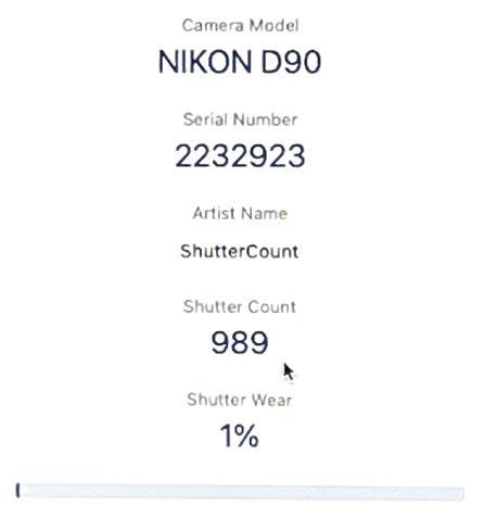 総ショット数989回 極上美品 ニコン Nikon D90 300mm超望遠Wズームレンズセット 動画撮影 SDカード付きすぐに撮影できます_画像10