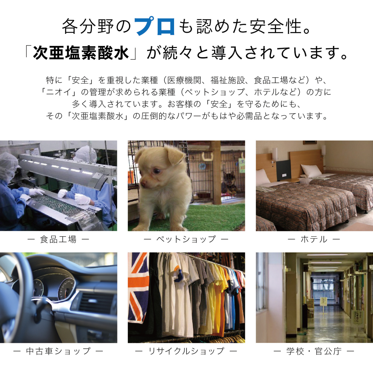 【メーカー正規直販】メール便送料無料 非電解 次亜塩素酸水 500mL詰替 パウチ 200ppm 特濃 ZIA/500 ジア 除菌消臭剤 空間除菌_画像4