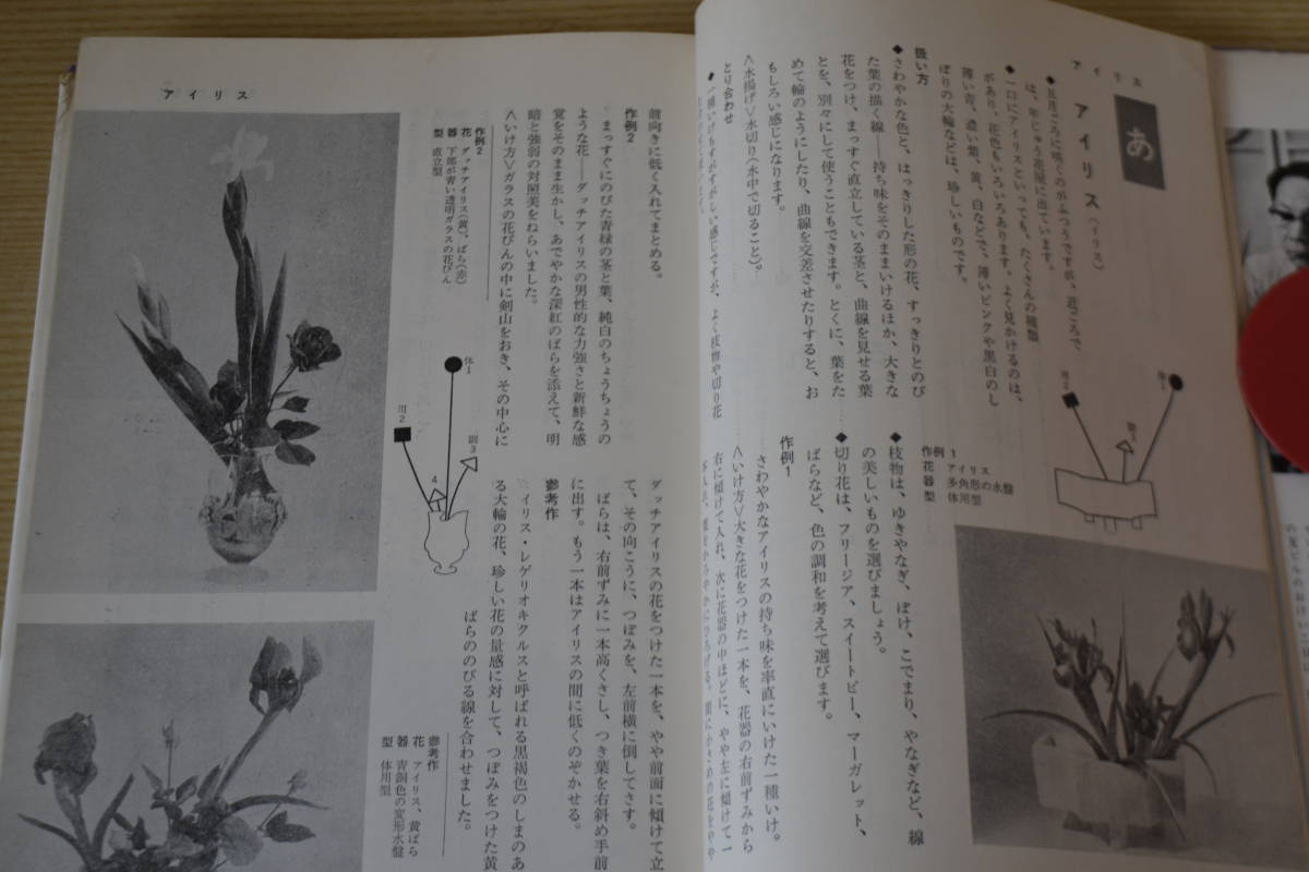 未生流 いけばなテキストブック 花材別350作 中山文甫 生け花 活花_画像6