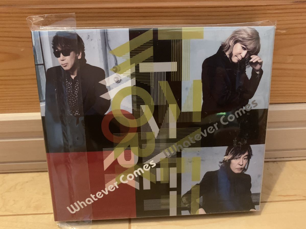 TMネットワーク TMNetwork whatevercomes getwild シティーハンター オマケ 初回 限定 特典 CD DVD ブルーレイ 小室哲哉 宇都宮隆 木根尚登_画像2