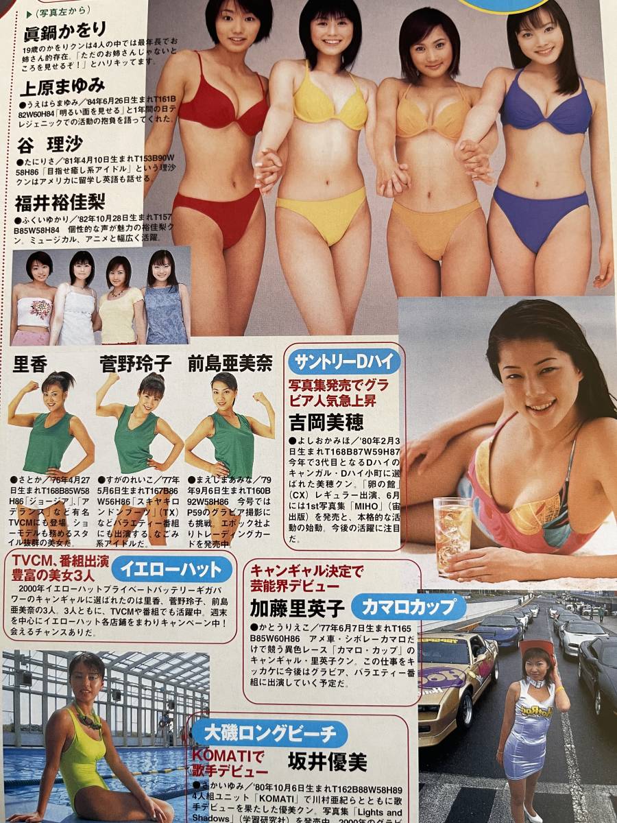 お宝★井川遥、眞鍋かをり、黒羽夏奈子、吉岡美穂、坂井優美ほか★ハイレグ水着グラビア★切り抜き_画像3