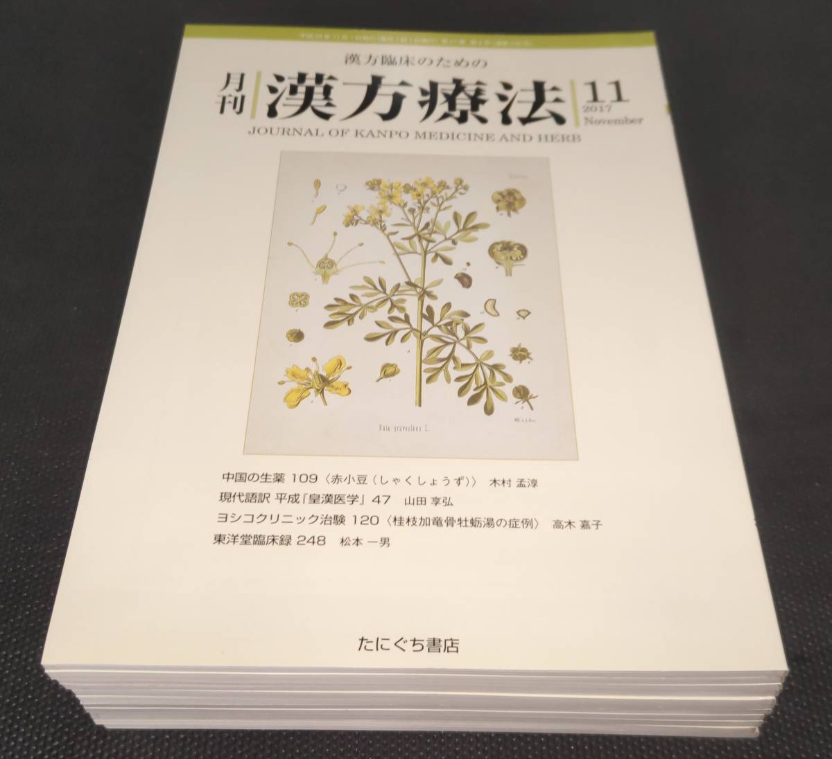 月刊 漢方療法 2017年 11冊セット 12月号無し 送料込み_画像2