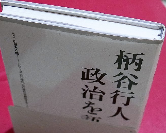 柄谷行人　政治を語る　聞き手・小嵐九八郎　シリーズ/六〇年代・七〇年代を検証する〈1〉　図書新聞2009初版　60年安保・全共闘 _画像2