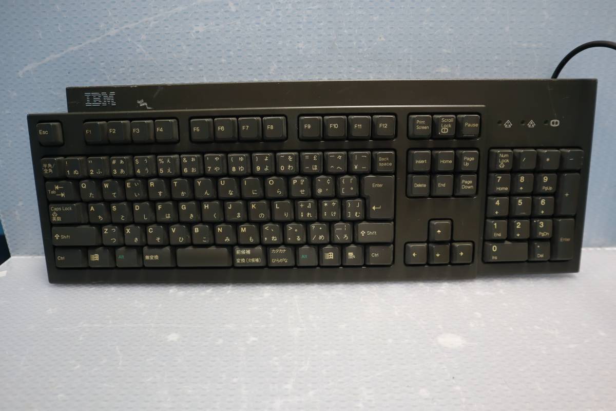 C2251 D L　IBM　アイビーエム KB-9910｜パソコン用キーボード_画像1