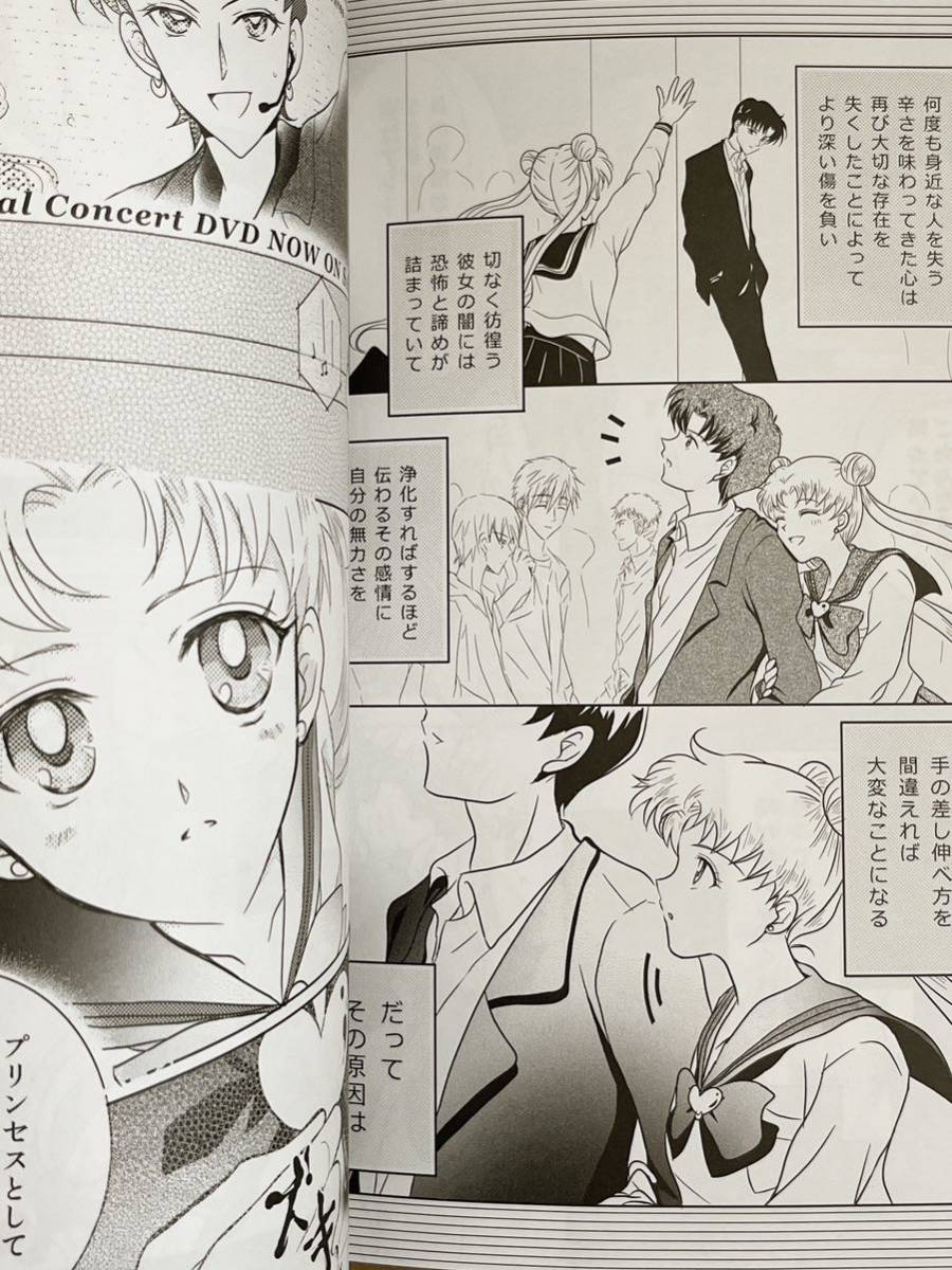 ☆セーラームーン同人誌☆星野光×月野うさぎ☆セーラースターズ ☆セーラームーン同人誌☆星野光×月野うさぎ☆セーラースターズ
