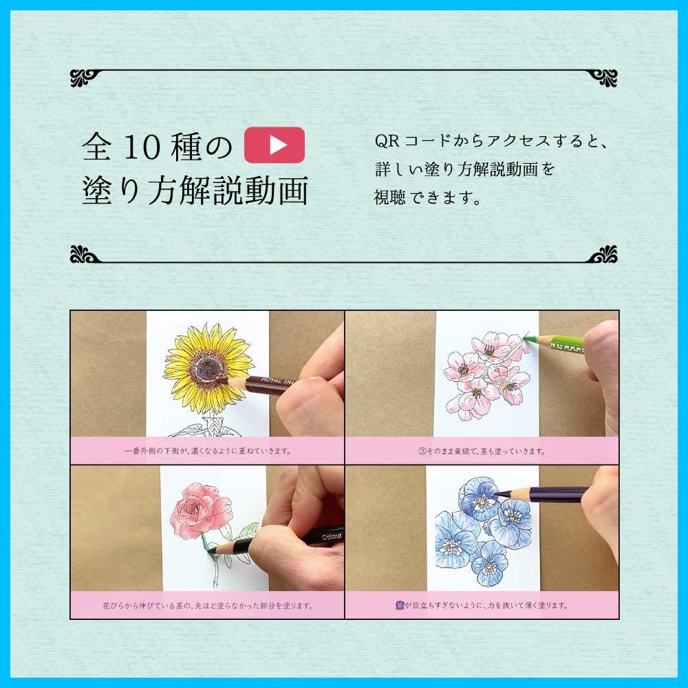 【在庫処分】小さい塗り絵 美しい花 10種 ぬりちゃんねる 40枚入 大人の塗り絵 初心者でも安心