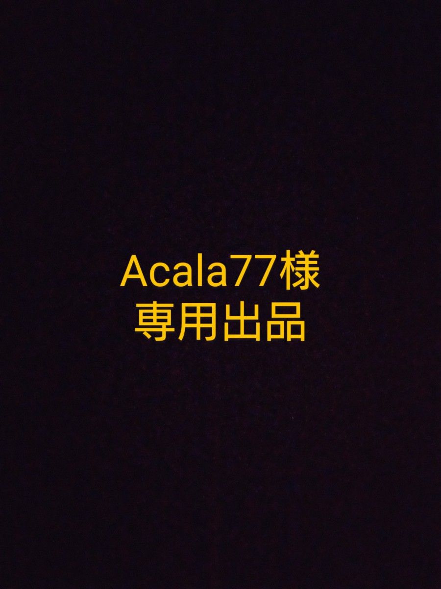 Acala77様 専用出品