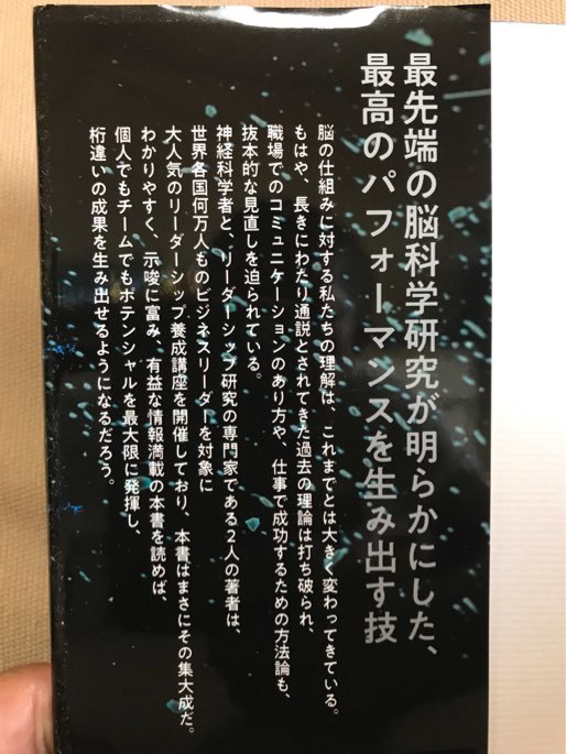 ■ 覚醒脳の作り方 - 脳科学で知的生産を10倍高める - ■ フリーデリケ・ファブリティウス ハンス・W・ハーゲマン ダイレクト出版 送料195の画像4