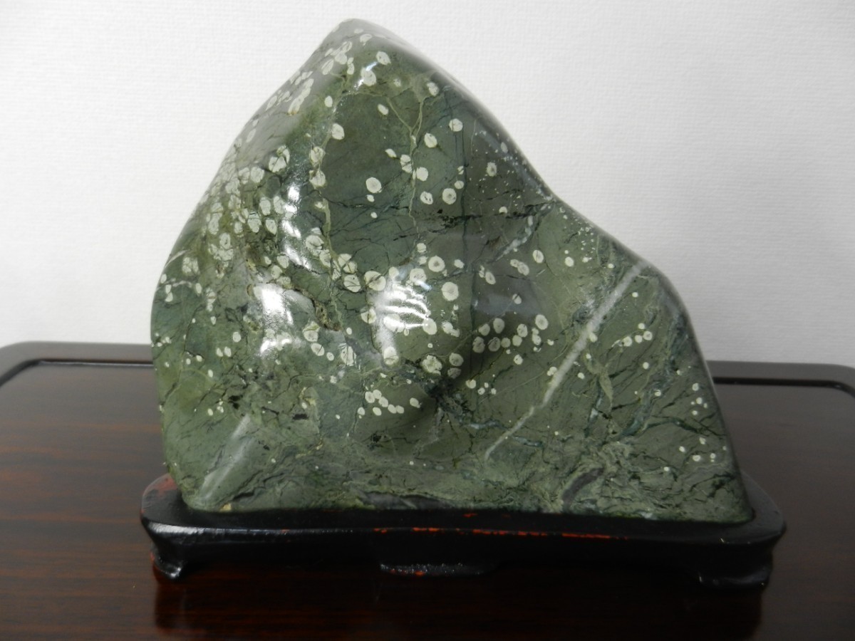  green stone suiseki st chrysanthemum stone tray stone bonsai tray . Yamagata appreciation stone natural stone 