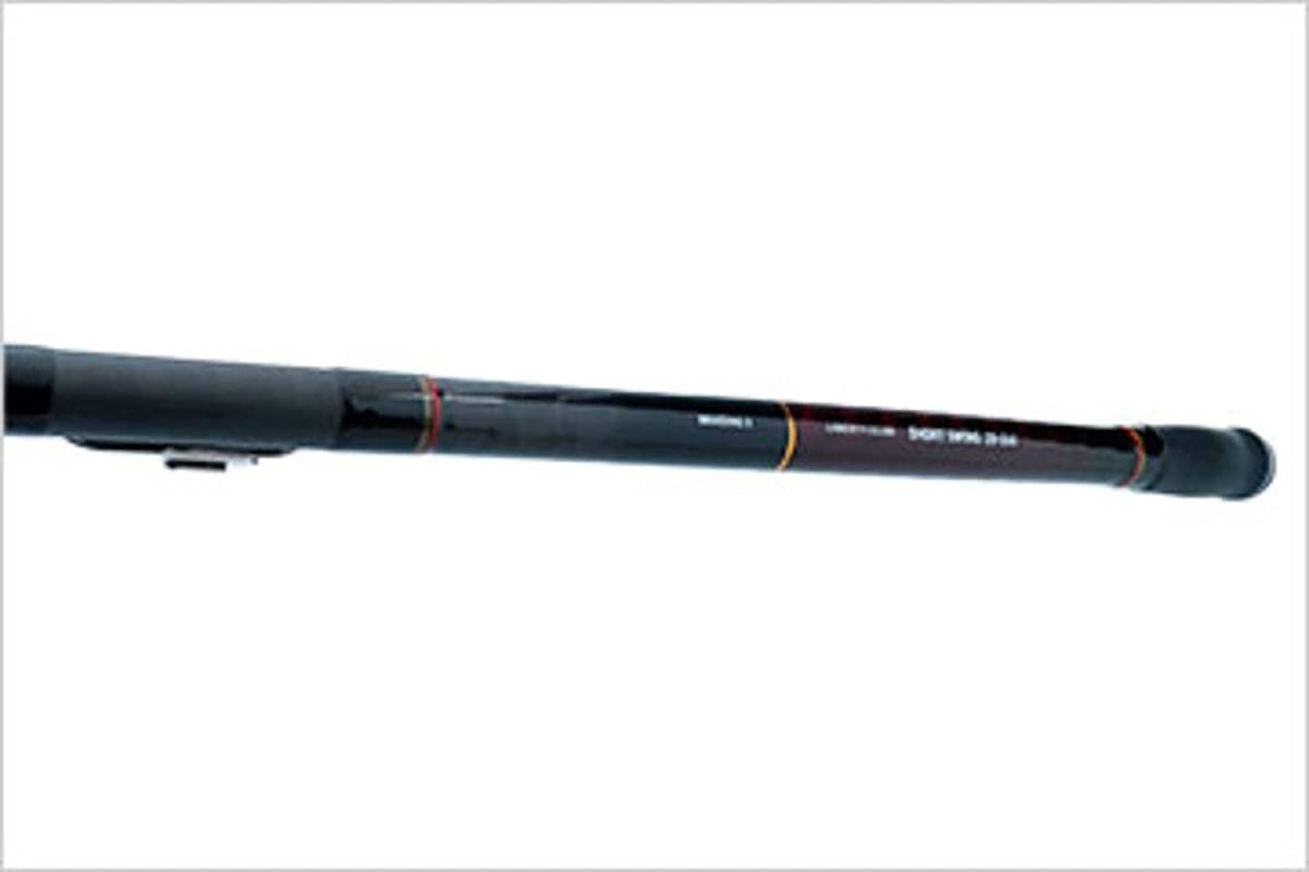 新品 ダイワ(DAIWA) 21 リバティクラブ ショートスイング 10号-360 フィッシング 海釣り 釣り具 投げ釣り サビキ 胴付