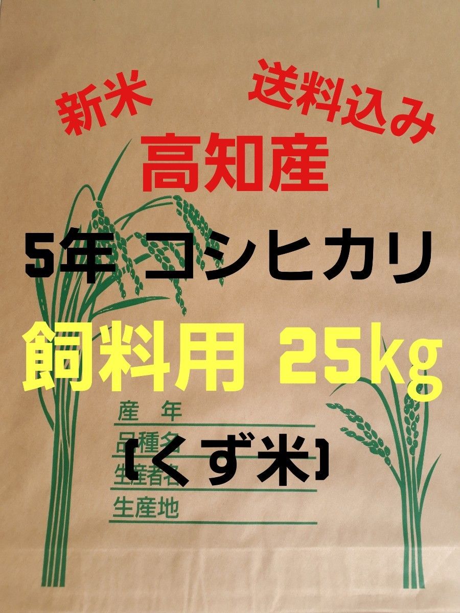 公式通販安い 送料込み 令和5年産 高知県産 新米コシヒカリ 玄米25