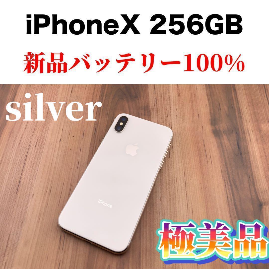 ✨美品✨iPhoneX 本体 Silver 256GB SIMフリー-