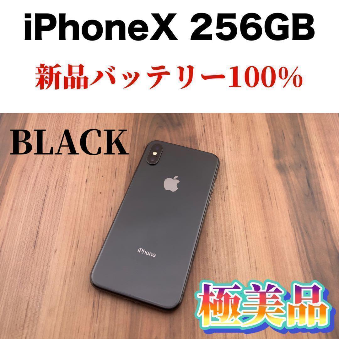 25iPhone X Space Gray 256 GB SIMフリー本体