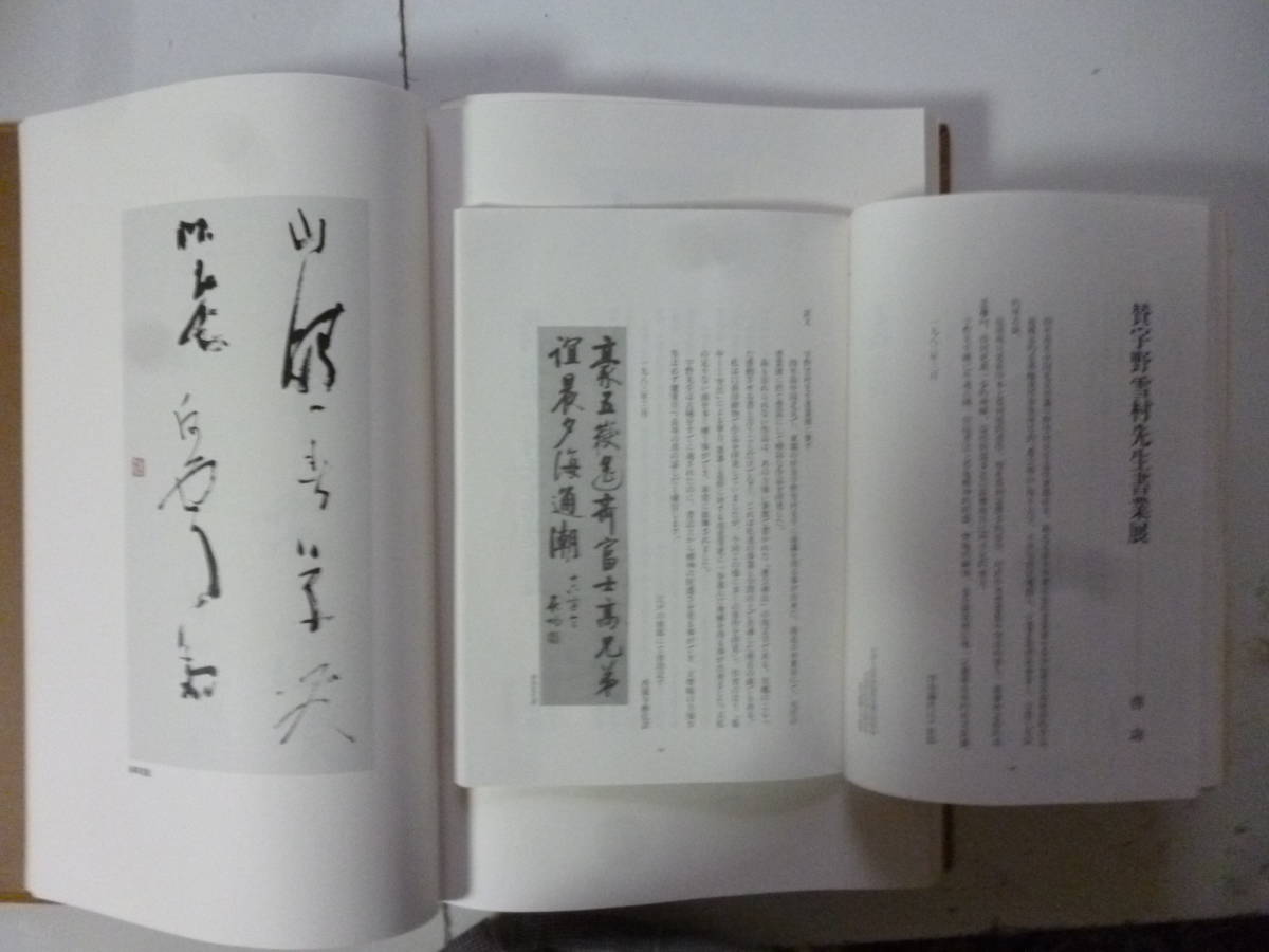 雪村従心 著・宇野雪村(直筆書一葉) アート、エンターテインメント 雪村従心 著・宇野雪村(直筆書一葉) アート、エンターテインメント