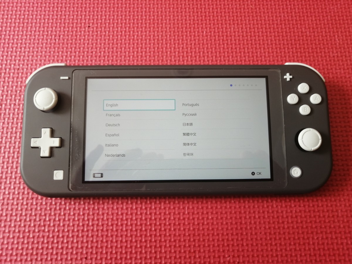 Nintendo Switch Lite 本体 グレー おまけ多数 ニンテンドースイッチ