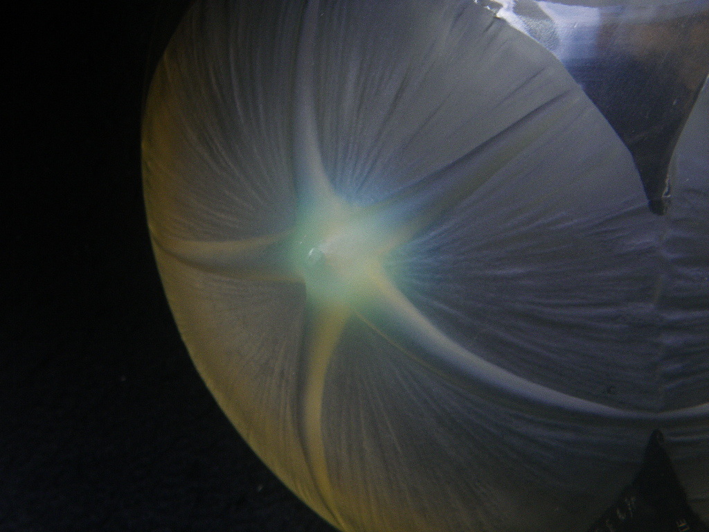 France antique　No.383 VOLUBILIS　黄色　朝顔　三ッ脚　ボウル皿　アンバー　オパールセント　RENE.LALIQUE FRANCE　ラリック