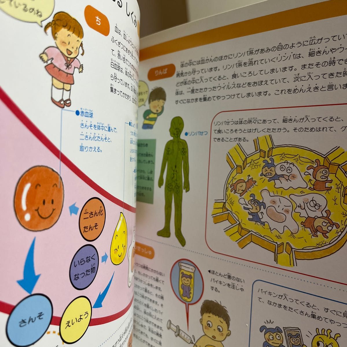 体験を広げるこどものずかん　９ （体験を広げるこどものずかん　　　９） （改訂新版） 牧野　公夫　編