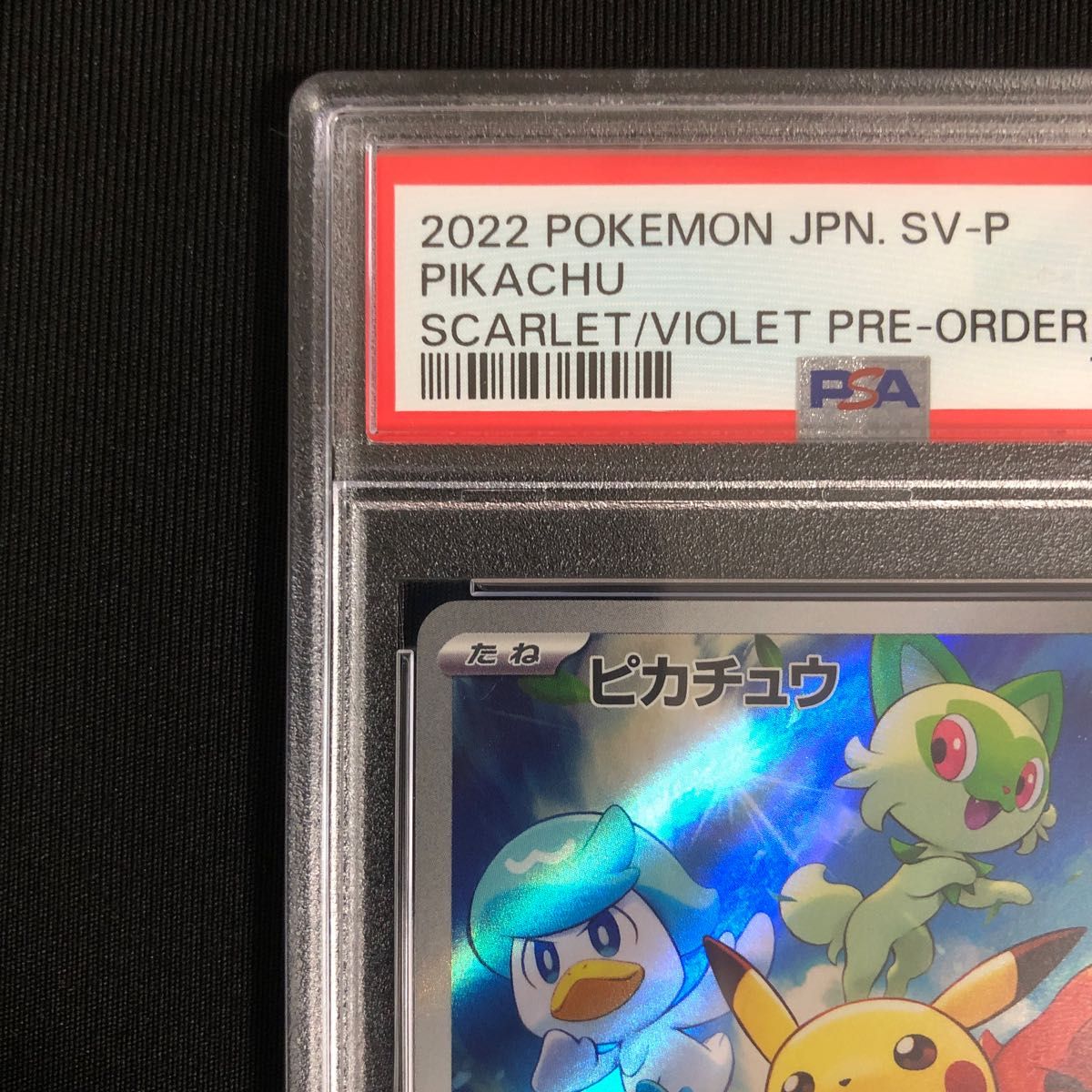 ピカチュウスカバイプロモ psa10 スカーレットバイオレット ピカチュウスカバイプロモ psa10 スカーレットバイオレット