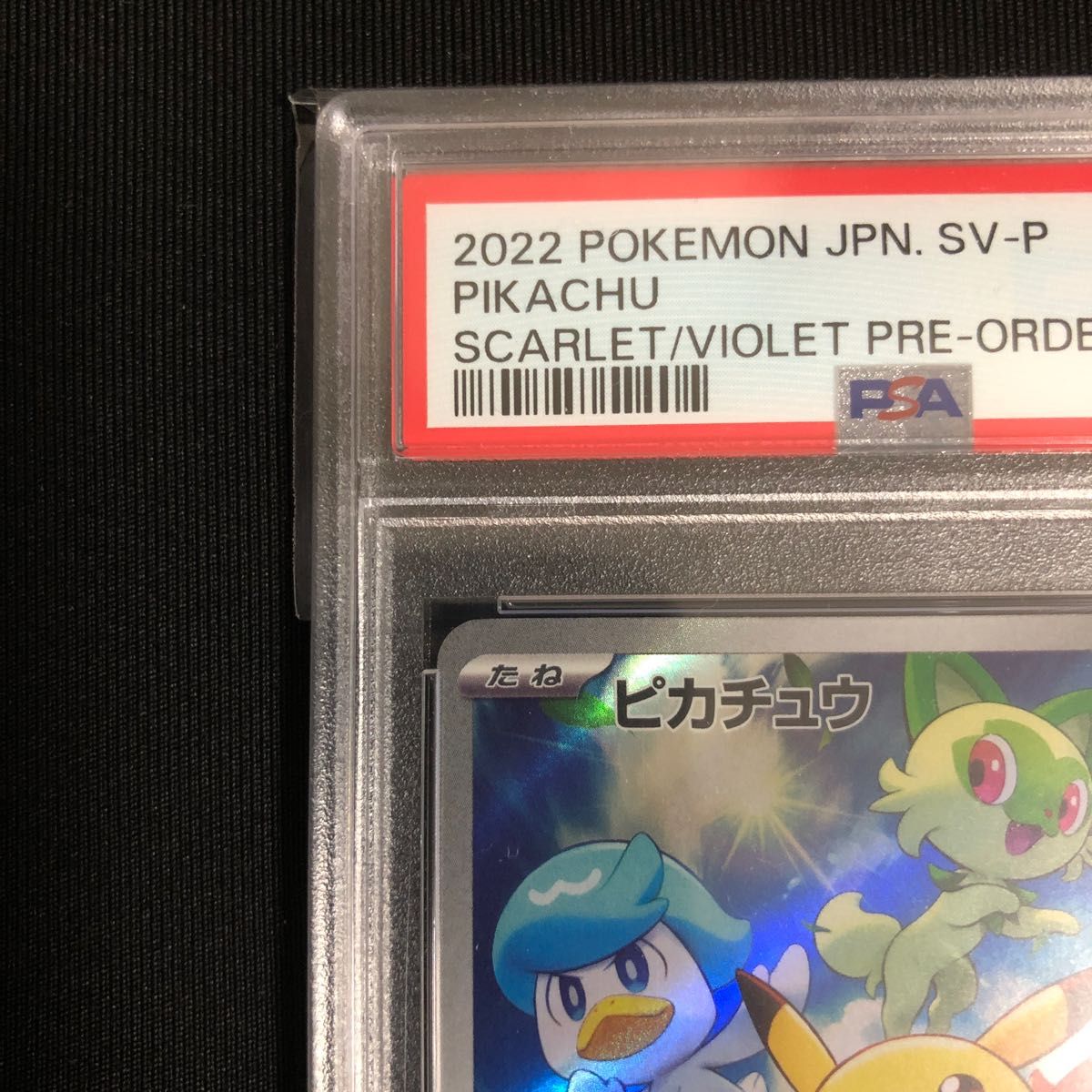 ピカチュウスカバイプロモ psa10 スカーレットバイオレット 76727566