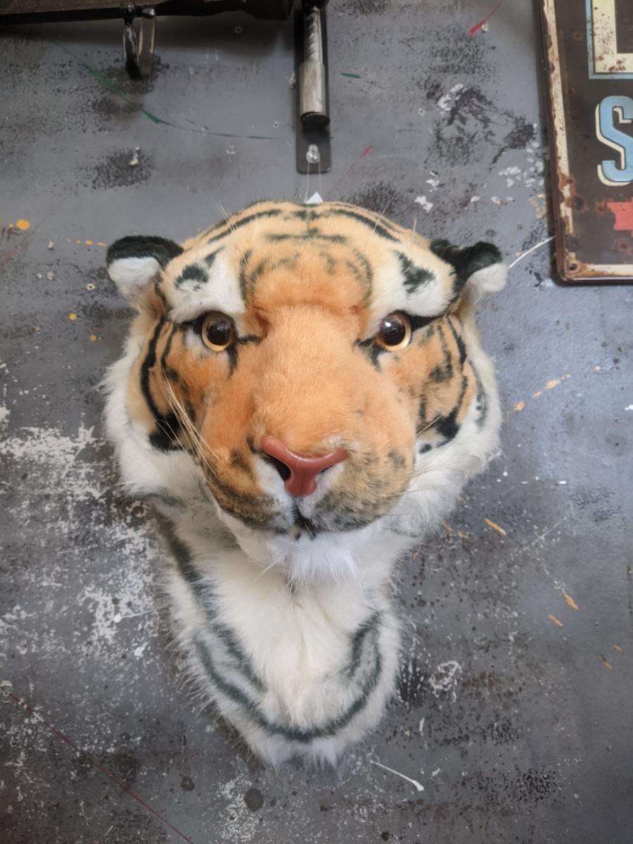 虎 顔 剥製みたいな ぬいぐるみ タイガーマスク トラの顔 ベンガルトラ #タイガー #ウォールデコ #壁掛け #阪神タイガース #キャラクター_画像1