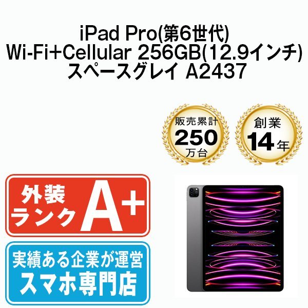 安い 2022年 第6世代 12.9インチ Wi-Fi+Cellular A2437 スペースグレイ