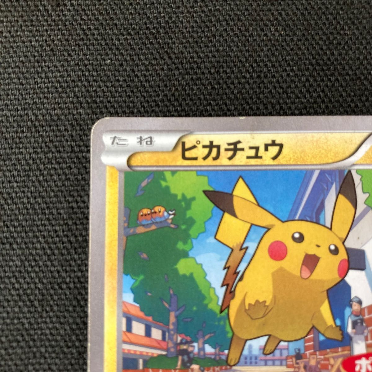 ピカチュウ ポケモンカード ポケカ レアカード 限定 希少品 ピカチュウ ポケモンカード ポケカ レアカード 限定 希少品