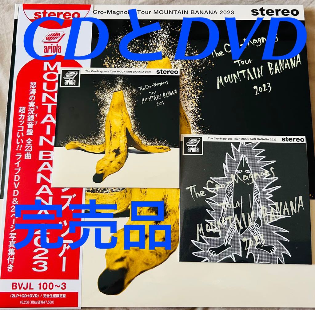 ザ・クロマニヨンズ    完全生産限定盤 の2枚セット！/アナログレコード LPは未付属/甲本ヒロト  ハイロウズ