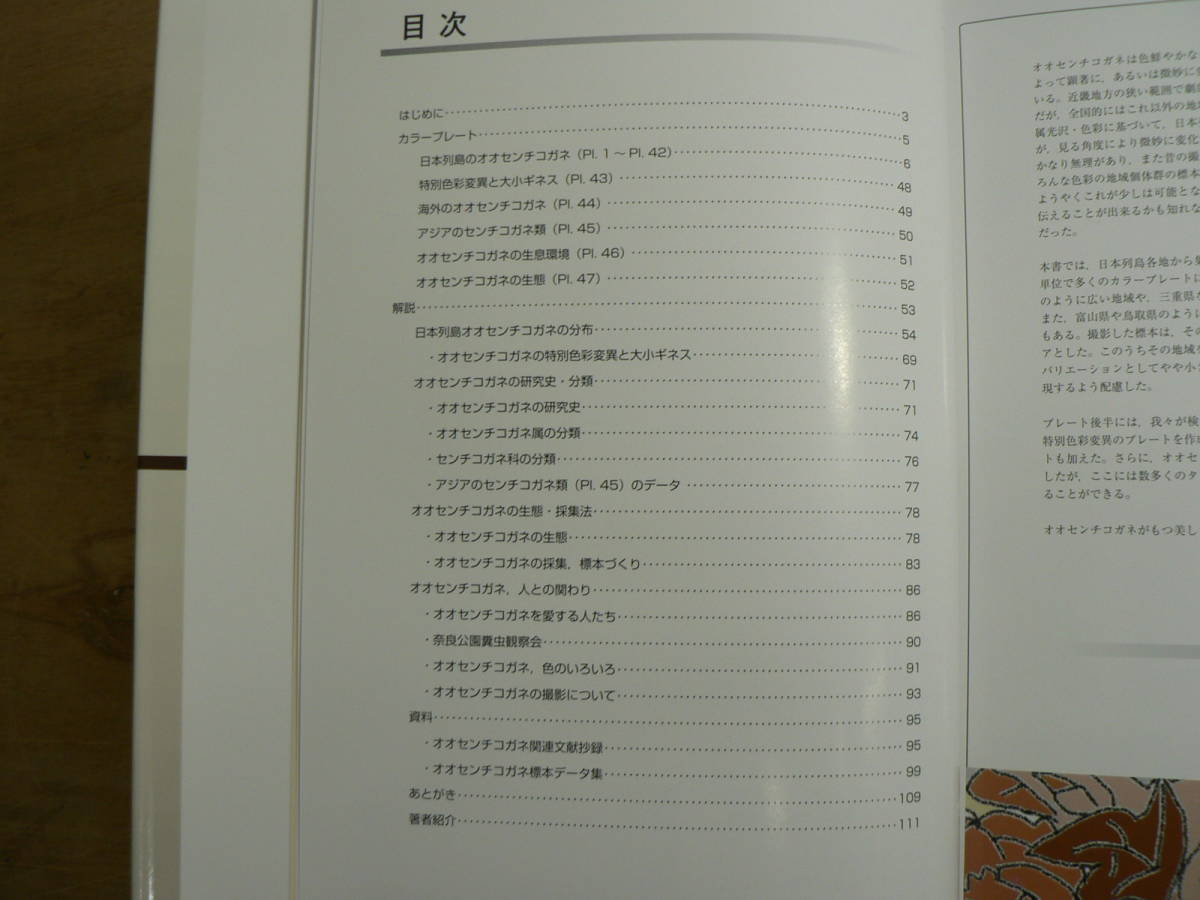  японский oo см kogane ежемесячный ..* насекомое map мнение серии 3.. фирма .книга@. один ....2014 год 