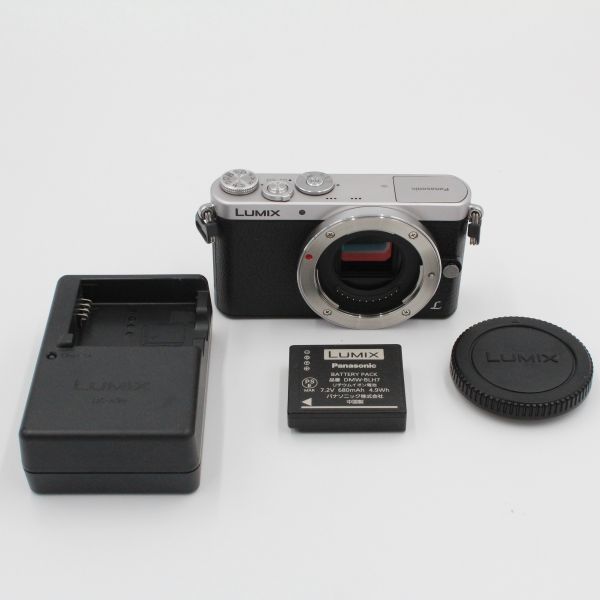 沸騰ブラドン ☆美品☆ PANASONIC パナソニック LUMIX DMC-GM1ボディ