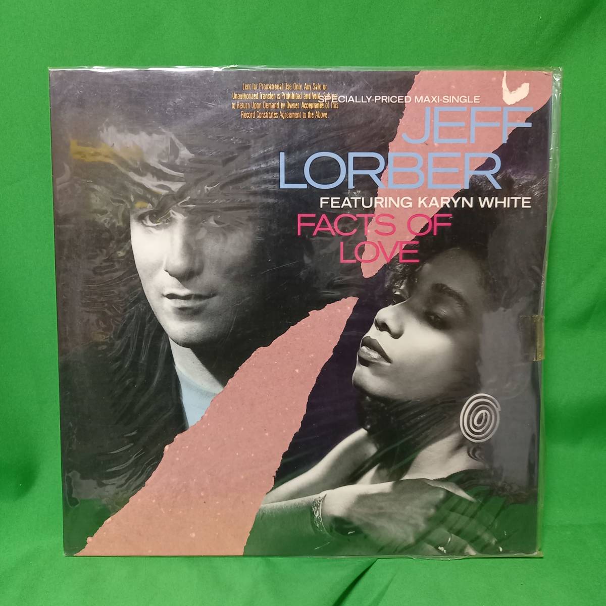 12' レコード Jeff Lorber Featuring Karyn White - Facts Of Love_画像1