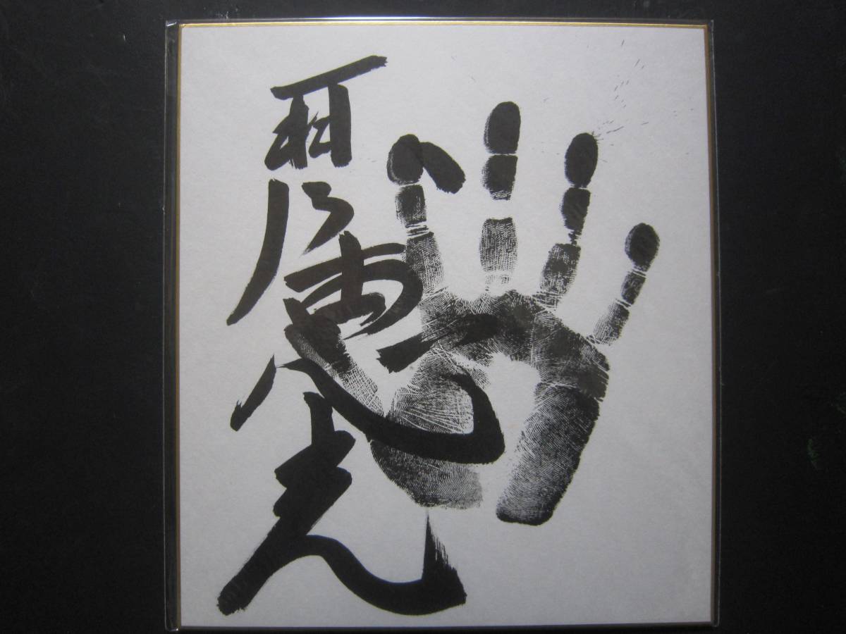 大相撲　琴恵光　幕内　手形　サイン　56