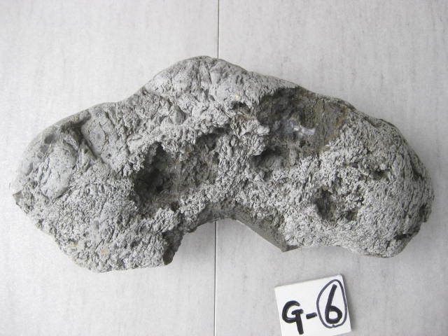  природа камень серый (30cm / 5,3.) б/у G-⑥ камень суйсеки поддон камень .. камень 