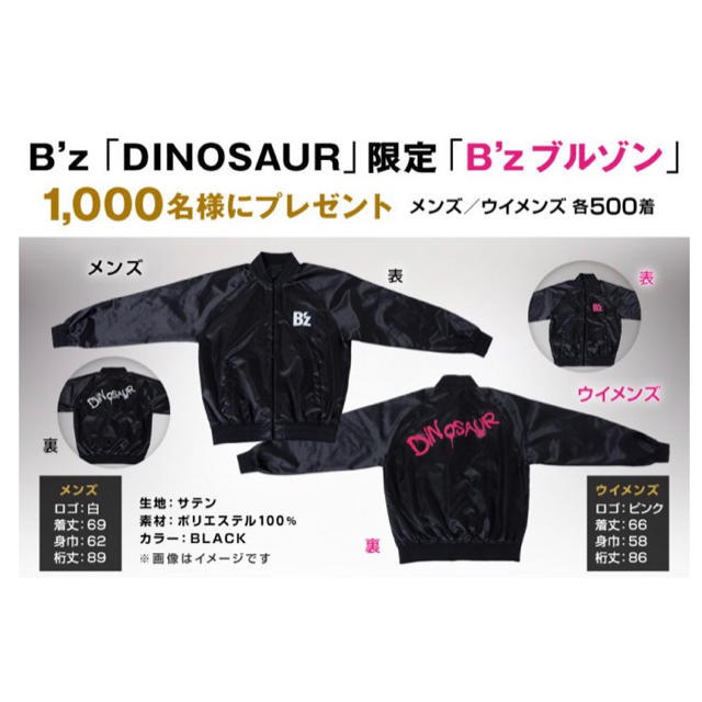 レア！非売品！B'z DINOSAUR ブルゾン（松本孝弘 稲葉浩志 限定５００着・プレゼント懸賞当選品ウイメンズナイロンジャケットジャンパー）_画像9