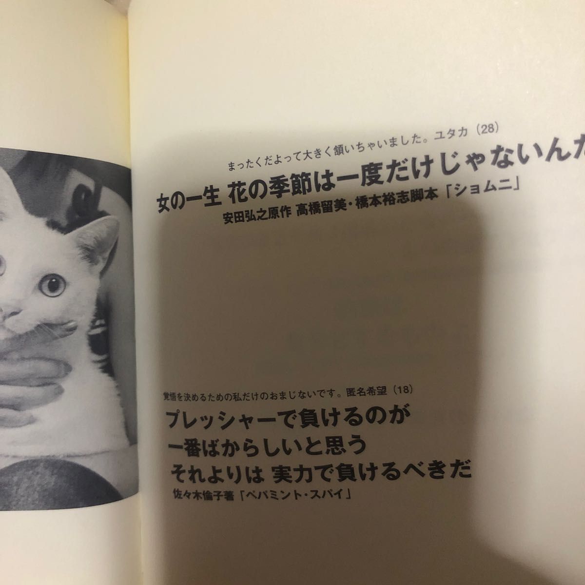 私たちの名言集Best100 あなたが生きる今日が素晴らしい