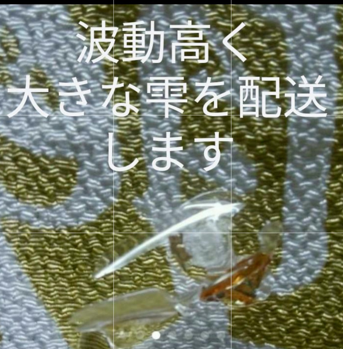 6800円 龍神鳳凰 九龍神 567890076200体入り霊石お守り - 占い 6800円 龍神鳳凰 九龍神 567890076200体入り霊石お守り - 占い