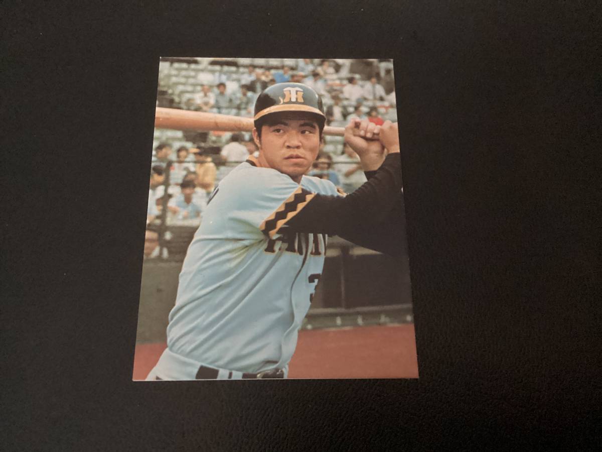 美品 カルビー77年 大阪版 掛布（阪神）大-123 プロ野球カード