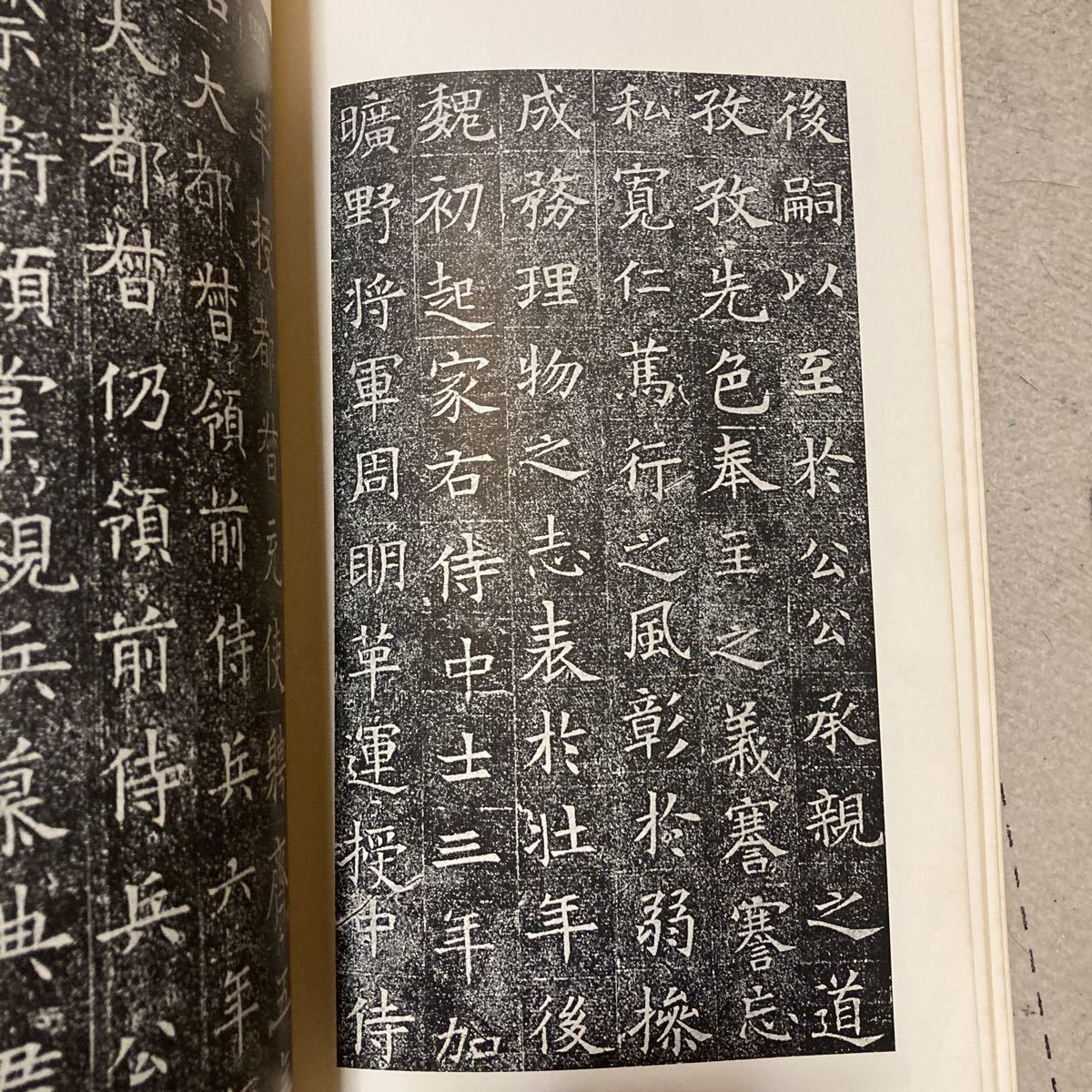 二玄社　書跡名品叢刊　墓誌銘集4 隋_画像6