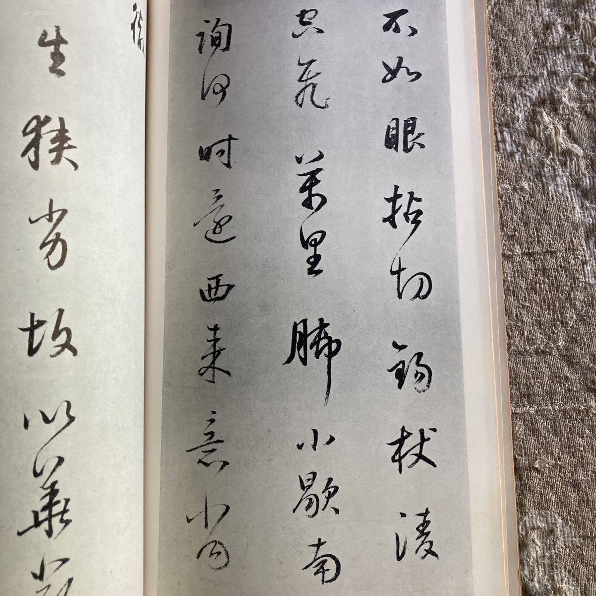 二玄社　書跡名品叢刊　明　董其昌　行草詩巻_画像4