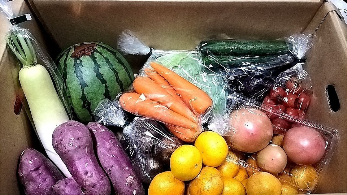 熊本県産野菜＆フルーツセット【120サイズ箱約10kg】_画像2