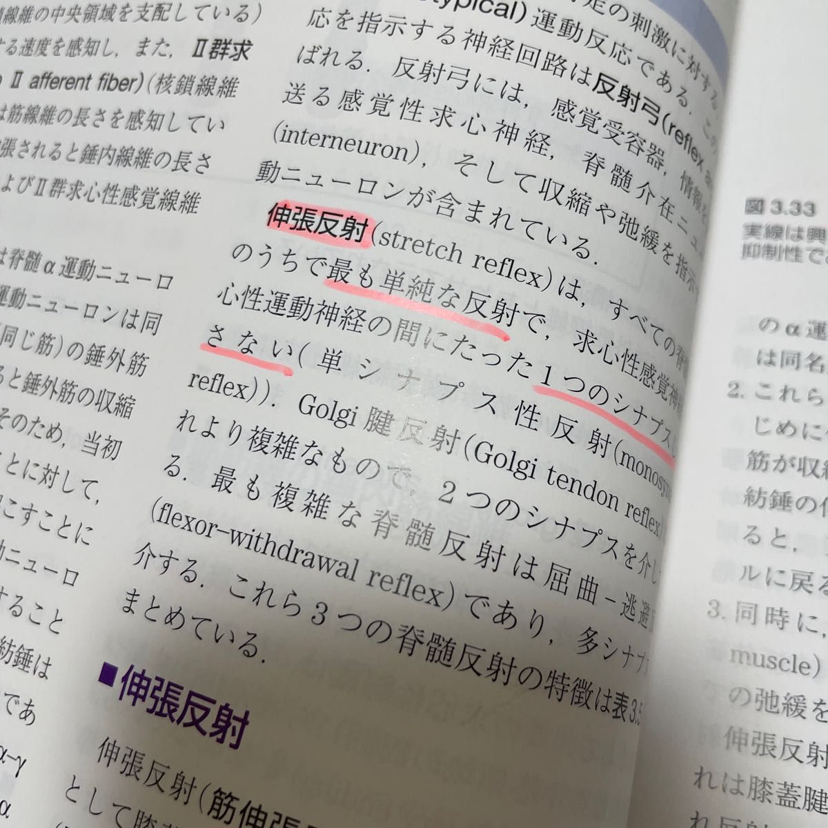 コスタンゾ明解生理学 電子書籍〈日本語・英語版〉付 Linda S.Costanzo/原著 林俊宏/監訳 高橋倫子/監訳